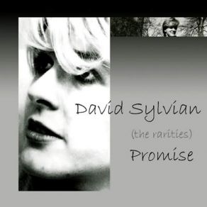 Download track The Women At The Well David Sylvian