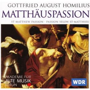 Download track Rezitativ (Evangelist, Jesus): Und Er Kam Zu Seinen Jungern Akademie Für Alte Musik Berlin (Baroque Orchestra), G. Turk, A. Monoyios, Ch. Pregardien