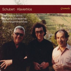 Download track Piano Trio No. 1 In B-Flat Major, Op. 99, D. 898- II. Andante Un Poco Mosso Paul Badura - Skoda, Wolfgang Schneiderhan, Boris Pergamenschikow