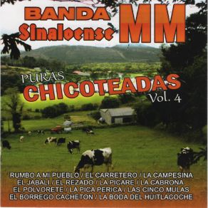 Download track El Carretero Banda Sinaloense MM