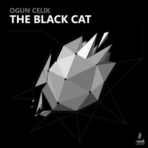 Download track The Black Cat (Original Mix) Ogun Celik