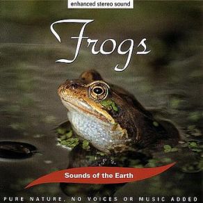 Download track Frogs, Part Two David Sun