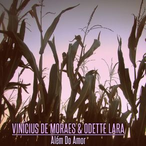 Download track Além Do Amor Vinicius De Moraes