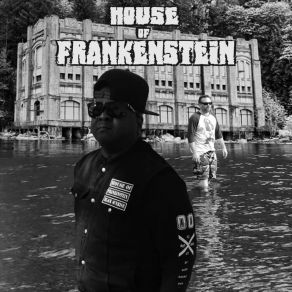 Download track Ghost Rider Theme House Of Frankenstein