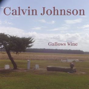 Download track Here Comes Calvin Johnson