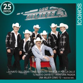 Download track Golondrina Viajera Los Rieleros Del Norte