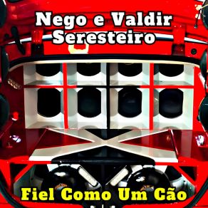 Download track Eu Vou Sair Para Buscar Você (Cover) Nego E Valdir Seresteiro