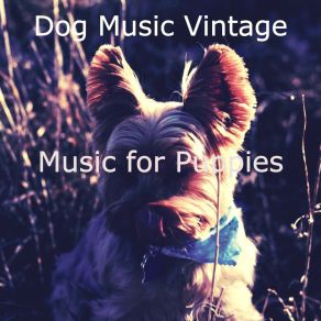 Download track Lovely Backdrops For Separation Anxiety Dog Music Vintage