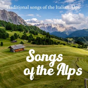 Download track Stelutis Alpinis Coro Della SatMauro Pedrotti