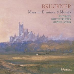 Download track 8. Mass No. 2 In E Minor - Agnus Dei Bruckner, Anton