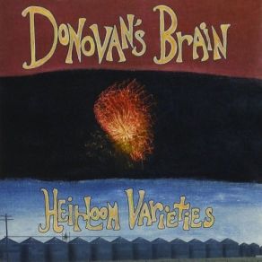 Download track Brighten Up Shop Donovans Brain