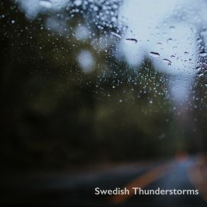 Download track Heavy Forest Rain Swedish Thunderstorms