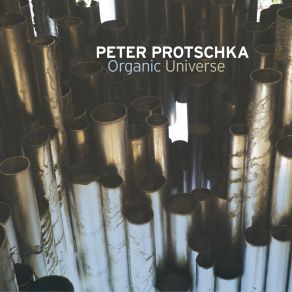 Download track Among Water Lilies Peter Protschka