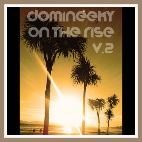 Download track Nu Summer Funk (Domineeky Dub) Domineeky