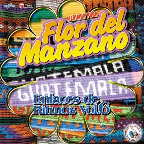 Download track Ferrocarril De Los Altos Marimba Flor Del Manzano