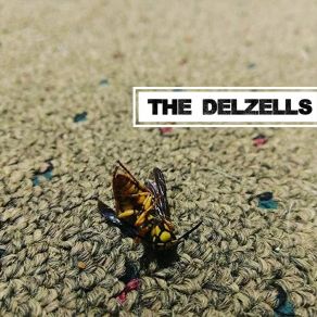 Download track Song In 'E' The Delzells