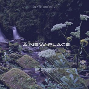 Download track A New Place Certificate 16