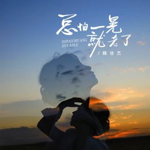 Download track 总怕一晃就老了 (DJ沈念版) 魏佳艺