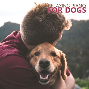 Download track Soothe Your Dog RW Dog Music