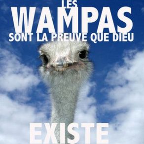 Download track Elle Est Où Ma Loge? Les Wampas