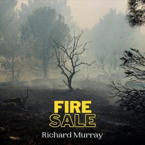 Download track Wrangling Stars Richard Murray