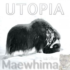 Download track Cold Stream Maewhima