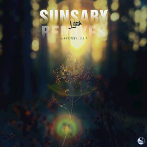 Download track Sunsary (S. A. T Remix) Li'lith