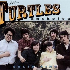 Download track We Ain't Gonna Party No More Turtles, The