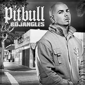 Download track Bojangles Pitbull