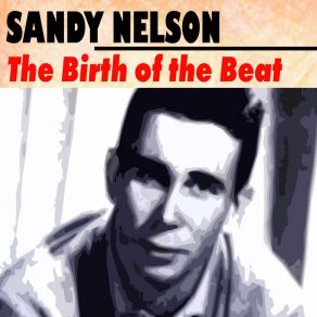 Download track Tim Tam Sandy Nelson