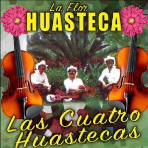 Download track Un Mojado Sin Licencia La Flor Huasteca
