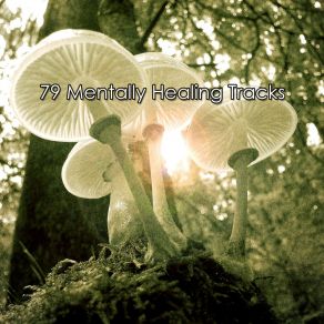 Download track Outer Body Zen Life Relax