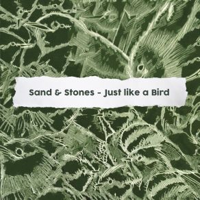 Download track Just Like A Bird Stones