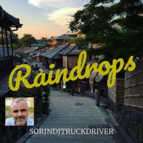 Download track Raindrops SorinDJtruckdriver