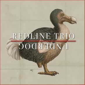 Download track Veluwe (For Janny) Mark DeJong, Jeff Sulima, Redline Trio, Steve Shepard