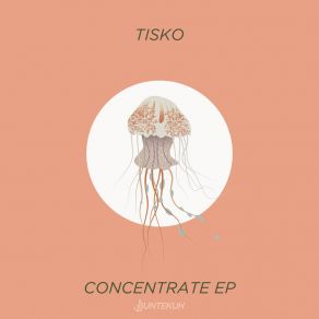 Download track Concentrate (Bardia Salour's 'Don't Do It Rework') TiskoBardia Salour