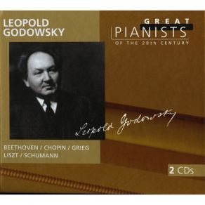 Download track Leopold Godowsky - 4. Valse Noble Robert Schumann