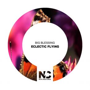 Download track Eclectic Flying (Nu Ground Foundation Club Mix) Nu Ground Foundation