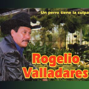 Download track Sentada En Un Hormiguero Rogelio Valladares