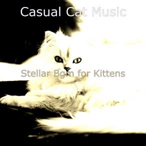 Download track Magical Resting Cats Casual Cat Music