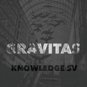 Download track Love Knowledge SVDalin