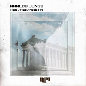 Download track Magic Arp Analog Jungs