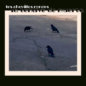 Download track Jesus At-Il Jamais Eu La Blues Du Narcissisme? Les Chevilles Rondes