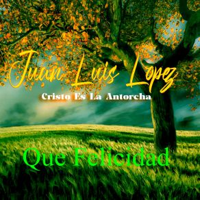 Download track Tu Cambiaste Mi Lamento En Marimba Chapina Juan Luis López Cristo Es La Antorcha