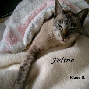 Download track Unsere Feline Klaus Barm