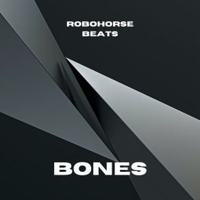 Download track Cruel ROBOHORSE BEATS