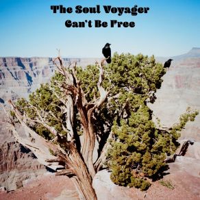 Download track Can't Be Free The Soul Voyager