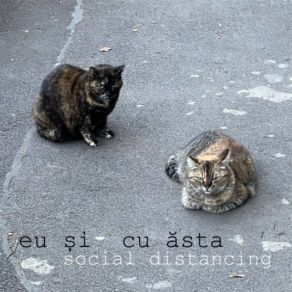 Download track Ce Faci - Miau Miau Eu Și Cu Ăsta