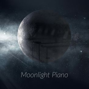 Download track Shining Moonlight Music Paradise