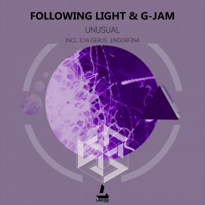 Download track Unusual (Endorfina Remix) Following Light, G-Jam